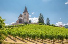 Alsace Full Day Wine Tour from Colmar