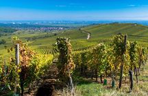Alsace Full Day Wine Tour from Colmar