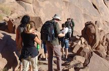 Excursion to Mosesberg and Kathrinen Monastery from Sharm el Sheikh