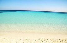 Excursion to the White Island & Ras Mohammed National Park from Sharm El Sheikh