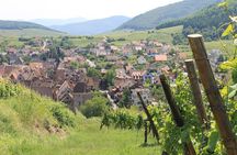 Alsace Wine Route Small Group Half-Day Tour with Tasting from Strasbourg
