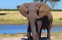 4 Days Mid Range Group Safari