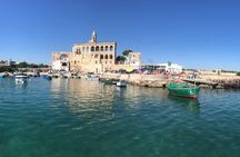 Polignano a Mare boat tour emotions, caves, diving and appetizers
