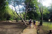 Private Birdwatching Tour in Sian Ka'an Muyil 