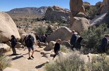 Joshua Tree National Park Driving Tour 