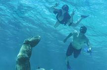 Luxury Sailing Experience to Isla Mujeres with Lunch & Open Bar