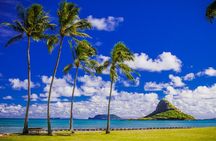 Grand Circle Island Tour