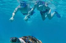 Luxury Sailing & Snorkeling Experience from Riviera Maya