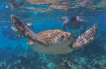 Luxury Sailing & Snorkeling Experience from Riviera Maya