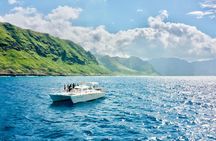 Swim with Dolphins on the West Coast of Oahu