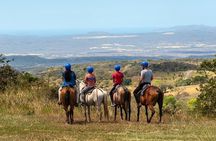Adventure in Volcano Combo Tour! - Zip Line, Waterfall, Hot Springs and More