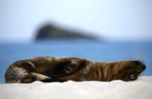 Galapagos Intensive 5 days, land base (3Islands) Excludes galapagos flight