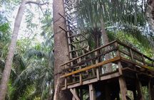 Lekki Conservation Center Extraordinary Tour