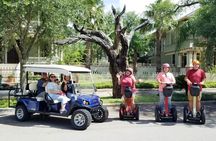 Galveston Tree Carvings Segway Tour