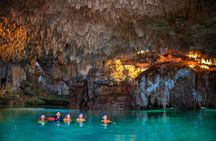 Akumal Cenote Swimming and Snorkeling from Cancun & Costa Mujeres