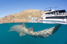 Derby to Horizontal Falls Half Day Adventure 