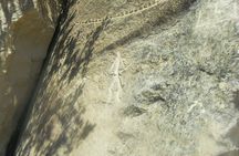 Private Tour to Gobustan National Park