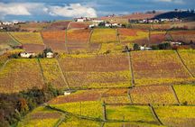 Hiking and wine tour starting from Alba