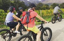 Franschhoek E-Bike Wine Tour (Half Day)