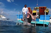 Snorkeling Trip at Cozumel Beach Club with Lunch Included 