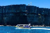 Jervis Bay Passage Tour