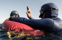 3-Day Freediving Level 1 Course