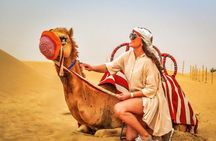 Morning Safari Camel Ride & Quad Biking Tour
