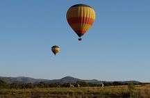 Day Trip Safari Cape Town to Pilanesberg Real Big 5 Game Reserve
