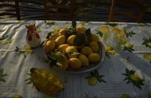 Discovery Tour of Sorrento Lemon in Massa Lubrense