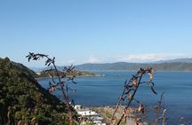 Wellington Scenic Full Day Tour