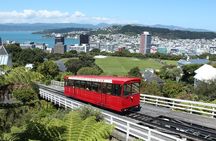 Wellington Scenic Full Day Tour