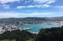 Wellington Scenic Full Day Tour