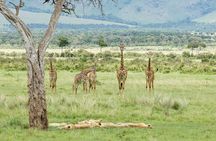 3-Day Masai Mara Budget Camping Safari