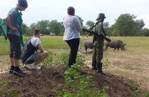 Safari Game Drive & Rhino Walks In The Mosi-oa-Tunya National Park