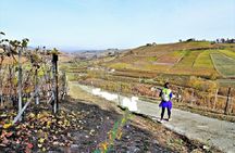 Hiking and wine tour starting from Alba