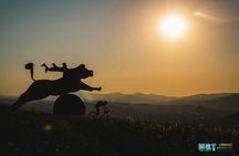 EBike tour with organic wine tasting