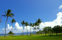 O‘ahu Highlights Private Guided Tour: Landmarks & Architecture