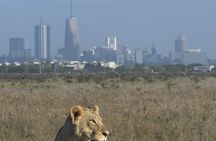 4-Day Masai Mara and Lake Nakuru safari from Nairobi.