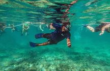 Snorkeling Experience in Cancun - Hands Underwater Museum