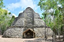 Coba Mayan Ruins and Sea Turtles Snorkeling with Lunch