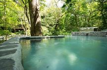 Mega Combo Zip Line Tour and Volcano Hot Spring 