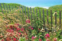 Martha's Vineyard Daytrip from Boston with Round-Trip Ferry & Island Tour Option