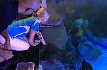 Cairns Aquarium Marine Life Encounter Ticket 