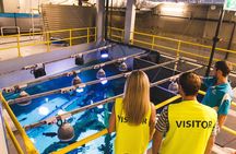 Cairns Aquarium Marine Life Encounter Ticket 