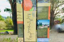 Yarra Valley Guided Bike Tour | Food & Wine Region