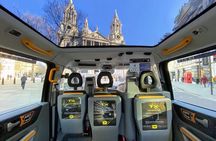 London Classic Sightseeing Private Taxi Tour