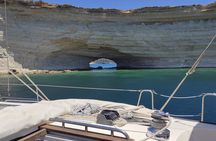 Private Marine Life Spotting - Dolphin watching EcoMarine Malta