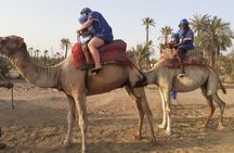Camel Ride & Quad Bike tours in the palm grove of Marrakech