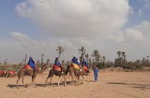 Camel Ride & Quad Bike tours in the palm grove of Marrakech