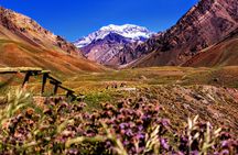 Tour Aconcagua Park in Small Group from Mendoza with Barbecue Lunch